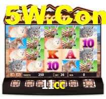 11cc.com